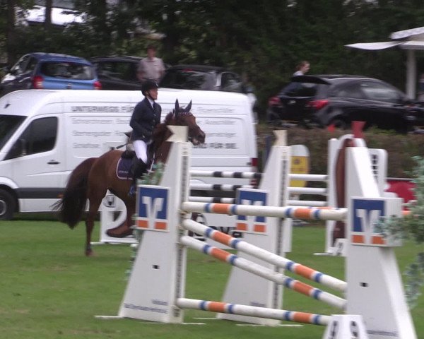 Reitturnier Vlotho-Exter 2015