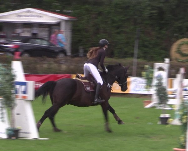 Reitturnier Vlotho-Exter 2015
