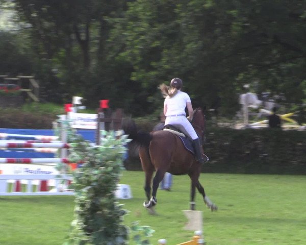 Reitturnier Vlotho-Exter 2015