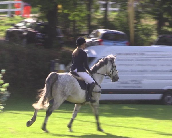 Reitturnier Vlotho-Exter 2015