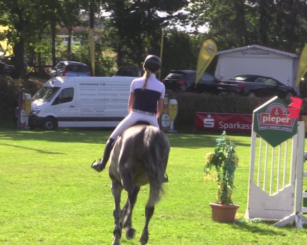 Reitturnier Vlotho-Exter 2015