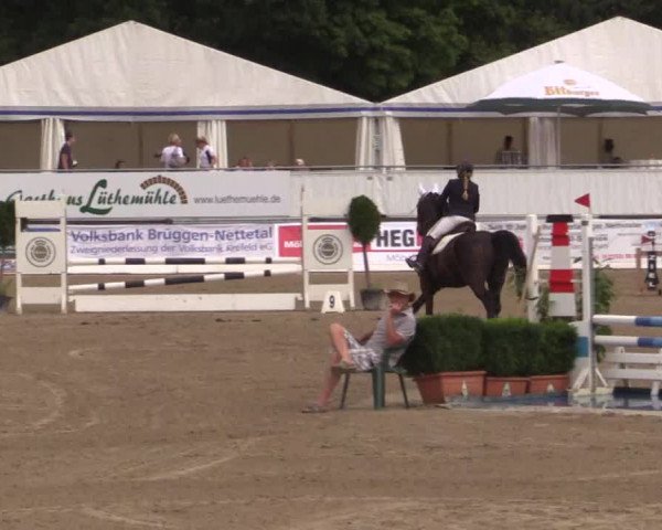 62. Lobbericher Reitsportfestival 2015