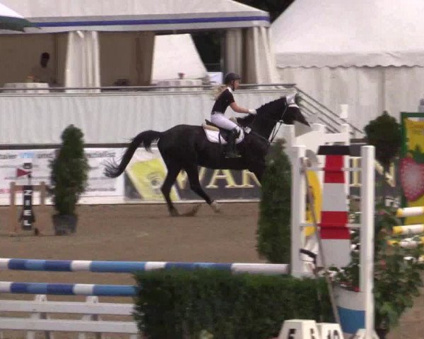 62. Lobbericher Reitsportfestival 2015