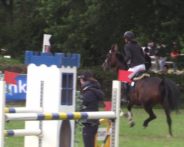 Reitturnier Vlotho-Exter 2015