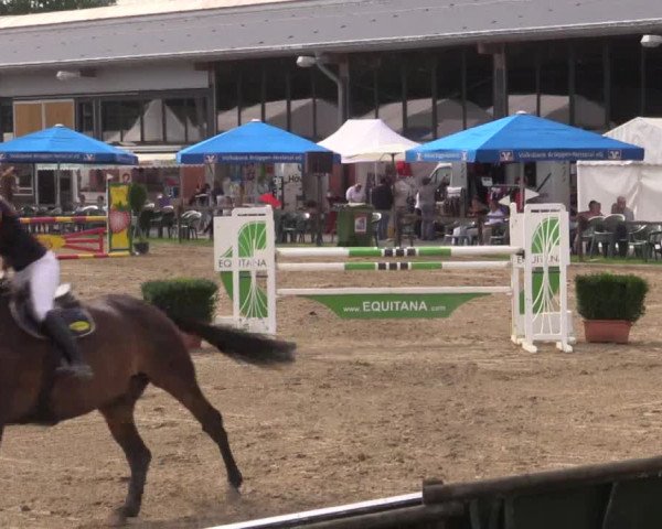 62. Lobbericher Reitsportfestival 2015