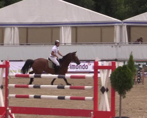 62. Lobbericher Reitsportfestival 2015