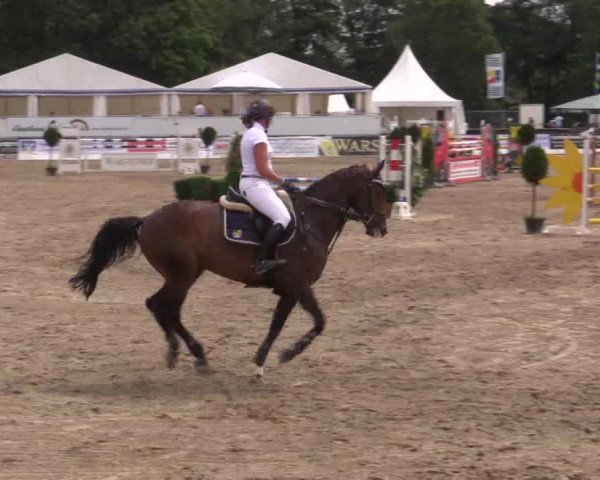 62. Lobbericher Reitsportfestival 2015