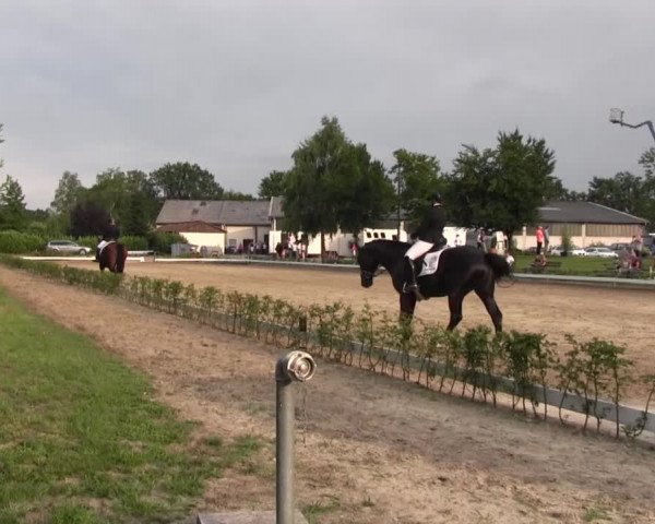 Vinnumer Reitertage 2015