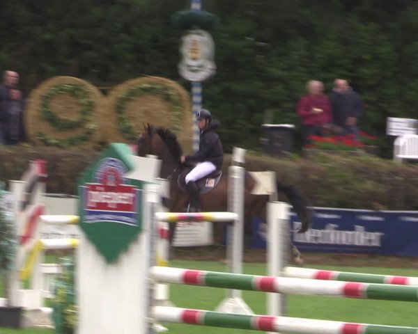 Reitturnier Vlotho-Exter 2015