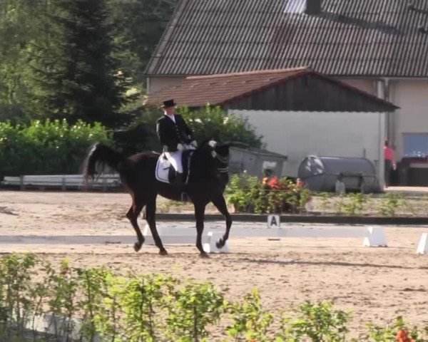 Vinnumer Reitertage 2015