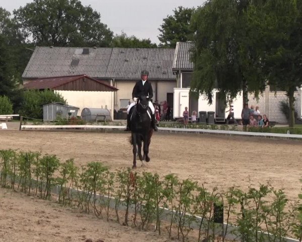 Vinnumer Reitertage 2015