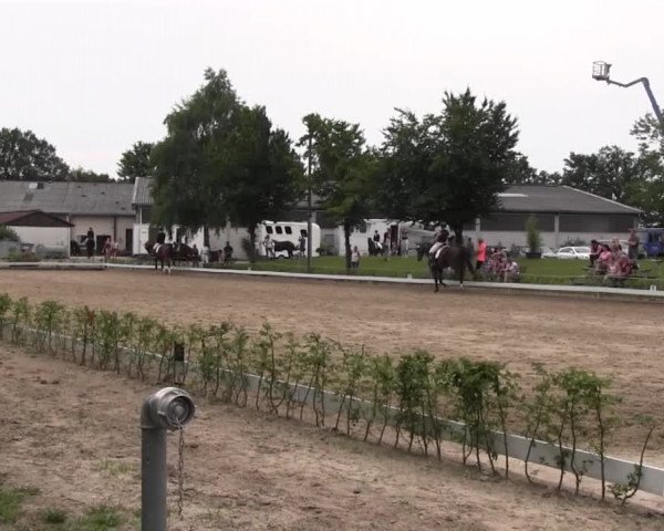 Vinnumer Reitertage 2015