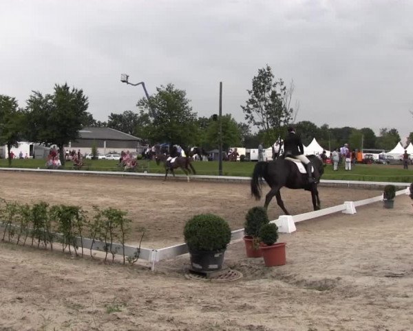 Vinnumer Reitertage 2015