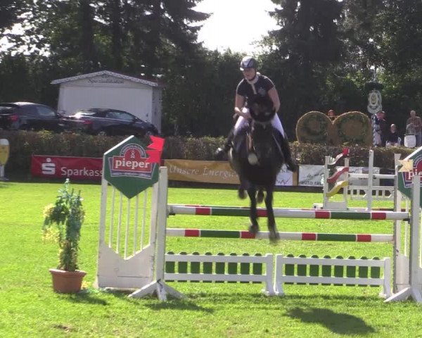 Reitturnier Vlotho-Exter 2015