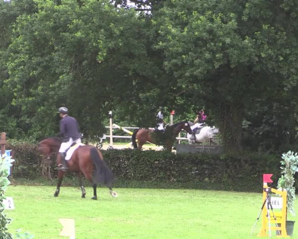 Reitturnier Vlotho-Exter 2015