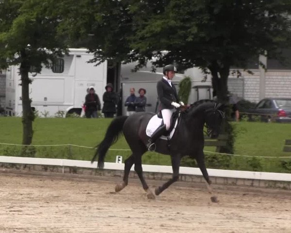 Vinnumer Reitertage 2015