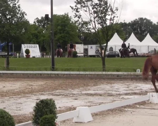 Vinnumer Reitertage 2015