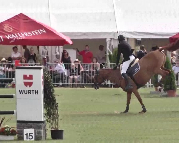 55. Süddeutsche Championate - Scharlachrennen 2015