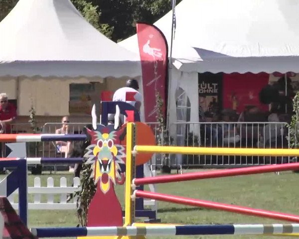 55. Süddeutsche Championate - Scharlachrennen 2015