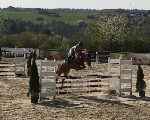 jumper Helga Schmidt (Zweibrücken, 2012, from Hope of Heaven)