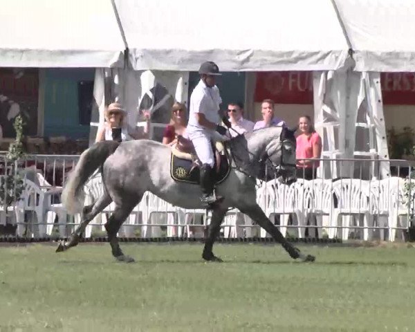 55. Süddeutsche Championate - Scharlachrennen 2015