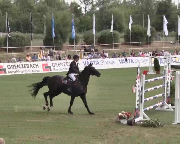 55. Süddeutsche Championate - Scharlachrennen 2015