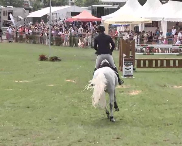 55. Süddeutsche Championate - Scharlachrennen 2015