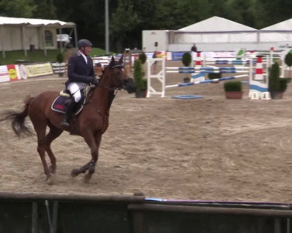 62. Lobbericher Reitsportfestival 2015