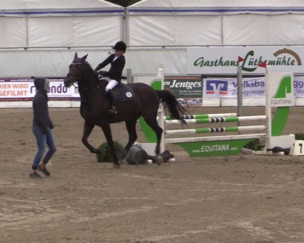 62. Lobbericher Reitsportfestival 2015
