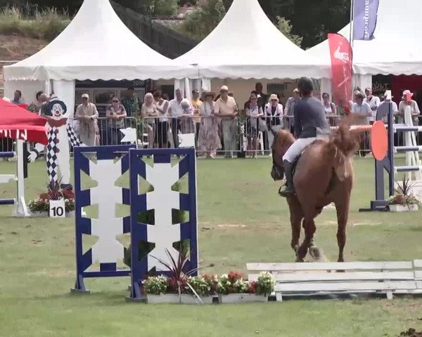 55. Süddeutsche Championate - Scharlachrennen 2015