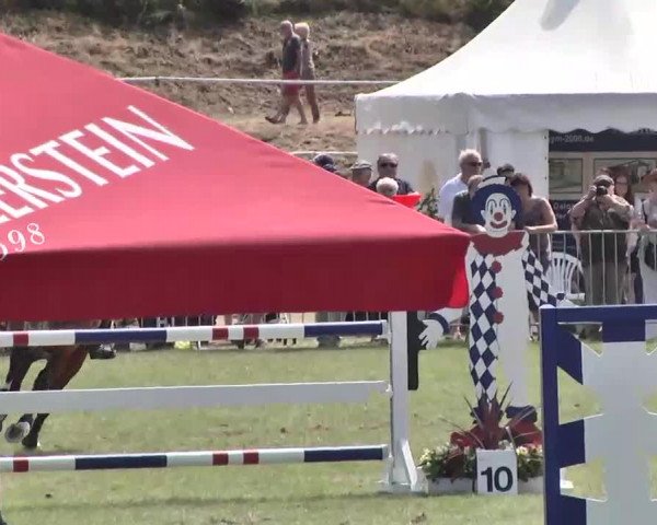 55. Süddeutsche Championate - Scharlachrennen 2015