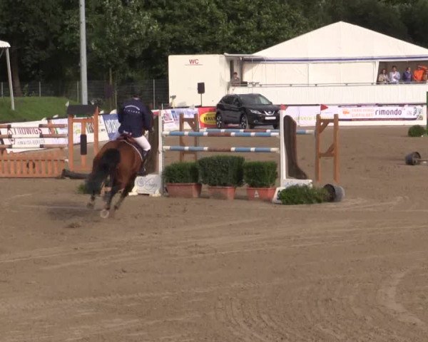 62. Lobbericher Reitsportfestival 2015