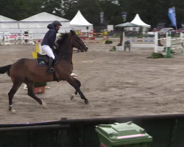 62. Lobbericher Reitsportfestival 2015