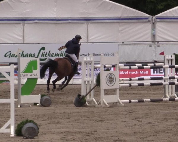 62. Lobbericher Reitsportfestival 2015