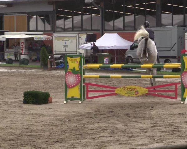 62. Lobbericher Reitsportfestival 2015