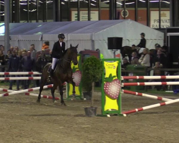 62. Lobbericher Reitsportfestival 2015