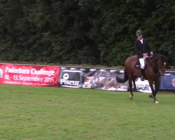 Reitturnier Vlotho-Exter 2015