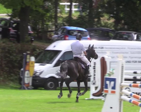 Reitturnier Vlotho-Exter 2015