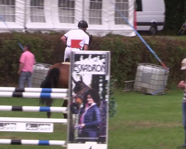 Reitturnier Vlotho-Exter 2015