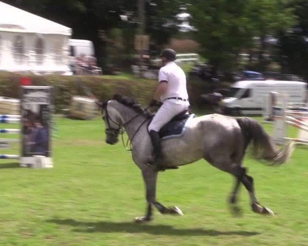 Reitturnier Vlotho-Exter 2015