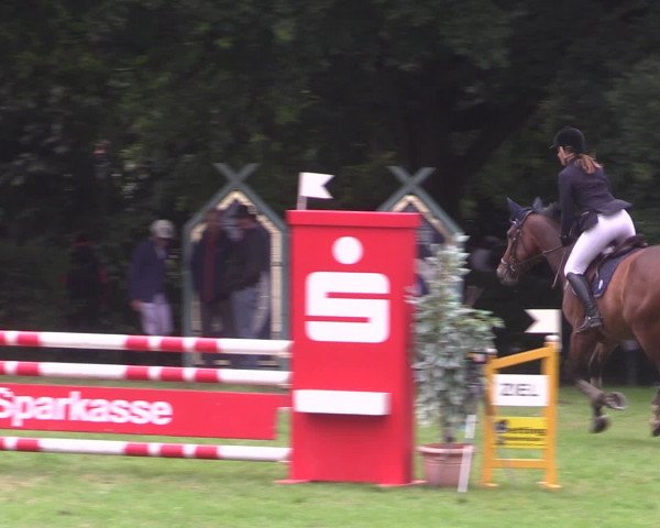 Reitturnier Vlotho-Exter 2015