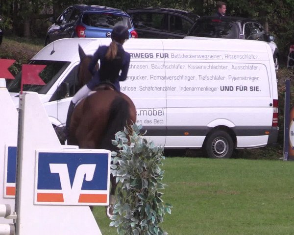 Reitturnier Vlotho-Exter 2015