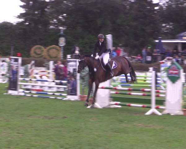 Reitturnier Vlotho-Exter 2015