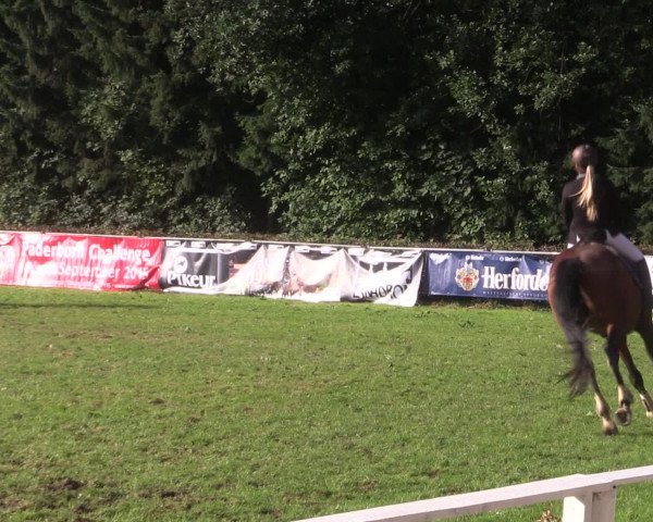 Reitturnier Vlotho-Exter 2015