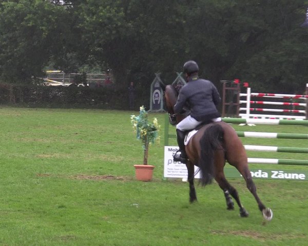 Reitturnier Vlotho-Exter 2015
