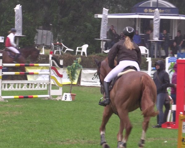 Reitturnier Vlotho-Exter 2015
