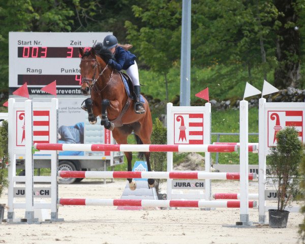 broodmare Joyride B (Irish Sport Horse, 2008, from O-Piloth)