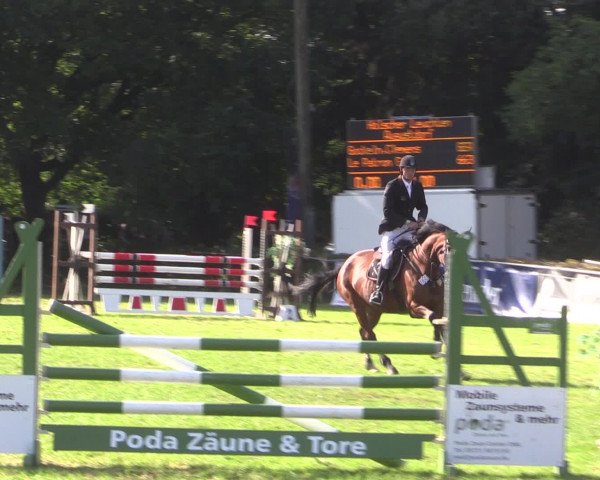 Reitturnier Vlotho-Exter 2015