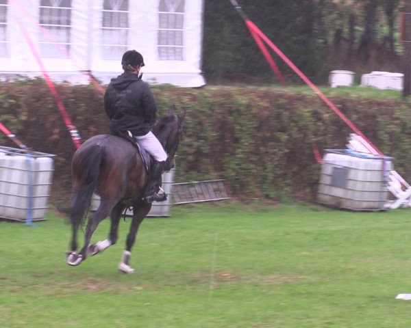 Reitturnier Vlotho-Exter 2015