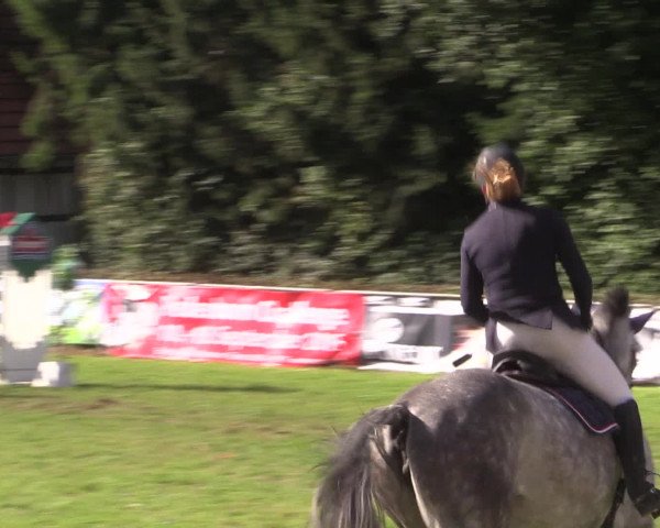 Reitturnier Vlotho-Exter 2015